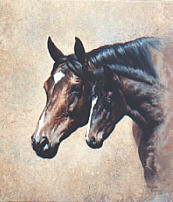 halvorsonmynewson
