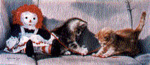 "Partners in Crime" by Lesley Harrison, james lumbers, beanie babies, cherished teddies, boyds bears, harmony kingdom, barkley crossing, robert bateman, trisha romance, mary smith, shirley deville, tom sierak, les tait, adeline halvorson, collectables, collectibles, figurines, beanie buddies, beanie tag protectors,  fine art prints, limited edition prints, canadian exclusives