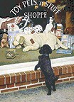 sierak-toyshop.jpg (10226 bytes)